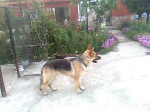 Прикачена снимка