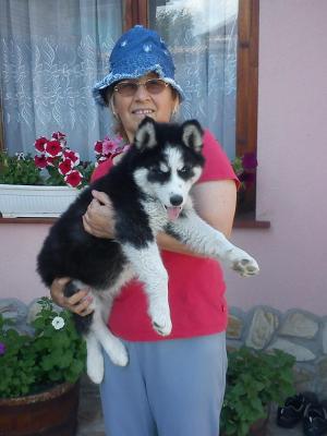 Прикачена снимка