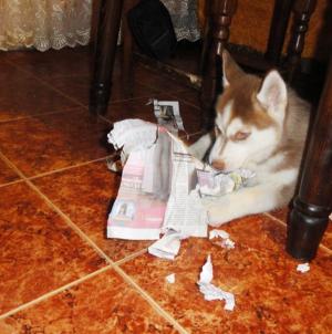 Прикачена снимка