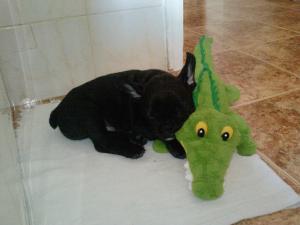 Прикачена снимка