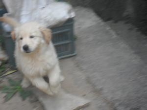 Прикачена снимка