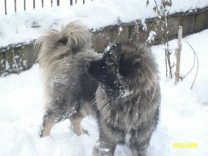 Прикачена снимка