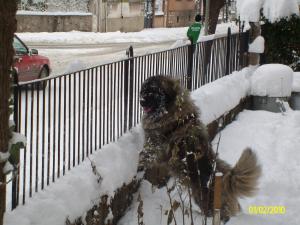 Прикачена снимка