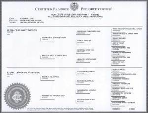 Прикачена снимка
