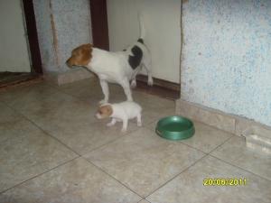 Прикачена снимка