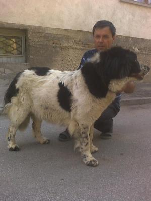 Прикачена снимка