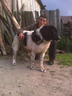 Прикачена снимка
