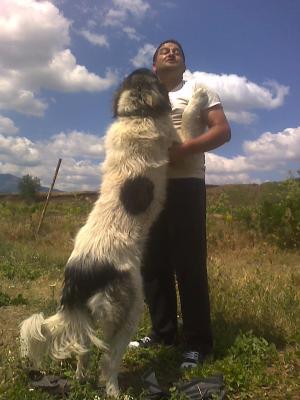 Прикачена снимка
