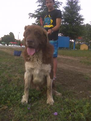 Прикачена снимка