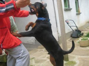 Прикачена снимка