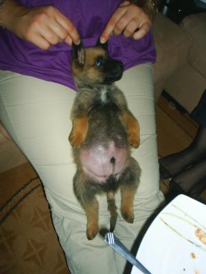 Прикачена снимка