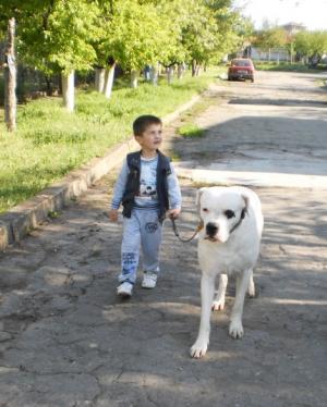 Прикачена снимка