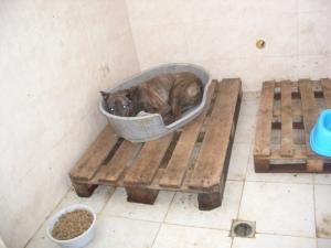 Прикачена снимка