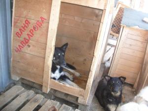 Прикачена снимка