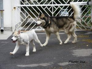 Прикачена снимка