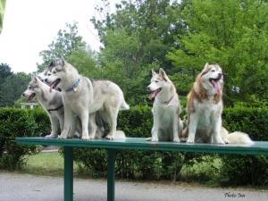 Прикачена снимка