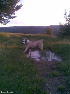 Прикачена снимка