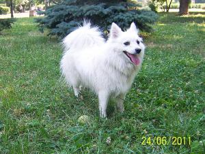 Прикачена снимка
