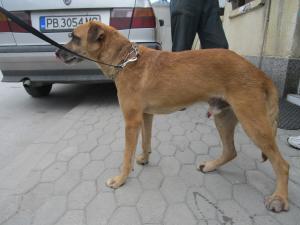 Прикачена снимка