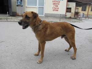 Прикачена снимка