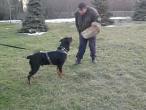 Прикачена снимка