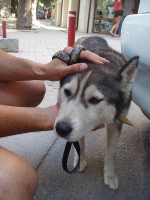 Прикачена снимка
