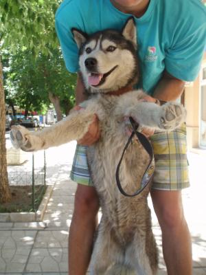 Прикачена снимка