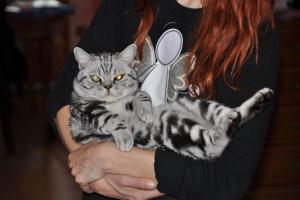 Прикачена снимка
