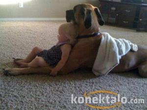 Прикачена снимка