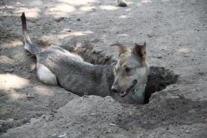 Прикачена снимка