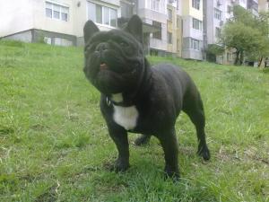 Прикачена снимка