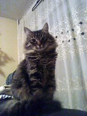 Прикачена снимка