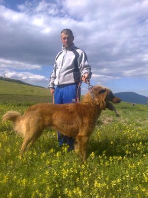 Прикачена снимка