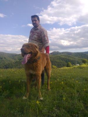 Прикачена снимка