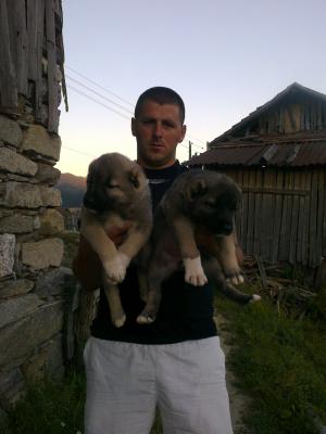 Прикачена снимка