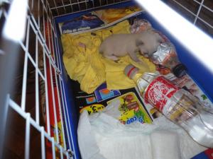 Прикачена снимка