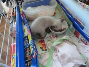 Прикачена снимка