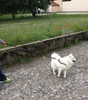 Прикачена снимка