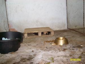 Прикачена снимка