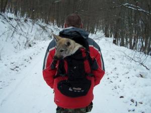 Прикачена снимка