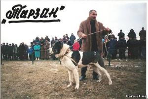 Прикачена снимка