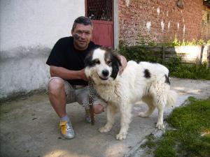 Прикачена снимка