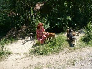 Прикачена снимка