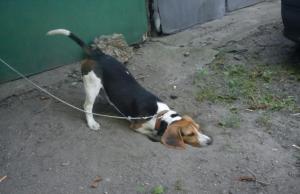 Прикачена снимка