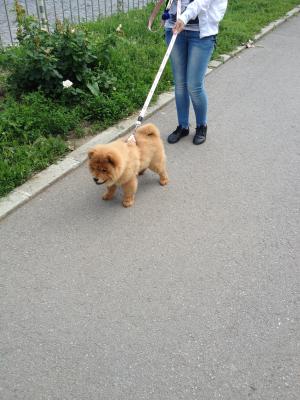 Прикачена снимка