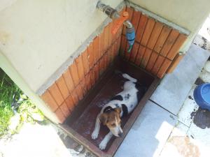 Прикачена снимка