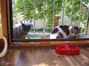 Прикачена снимка