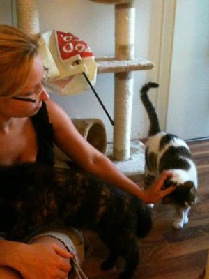 Прикачена снимка