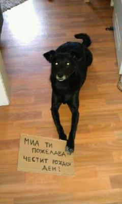 Прикачена снимка