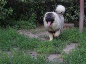 Прикачена снимка